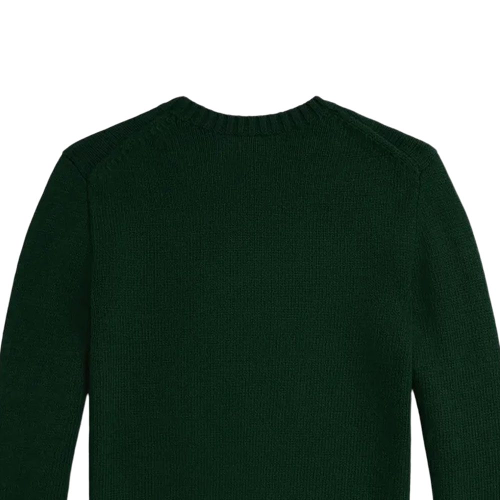 Polo Ralph Lauren Sweater FW25 Crew Neck Pullover Long Sleeve Kids Kids sweater 323978393-001