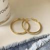 Silver Needle Metal Plain Ring Geometric Earrings Fashion Sense Exaggerated Earrings Niche Design Versatile Earrings Women