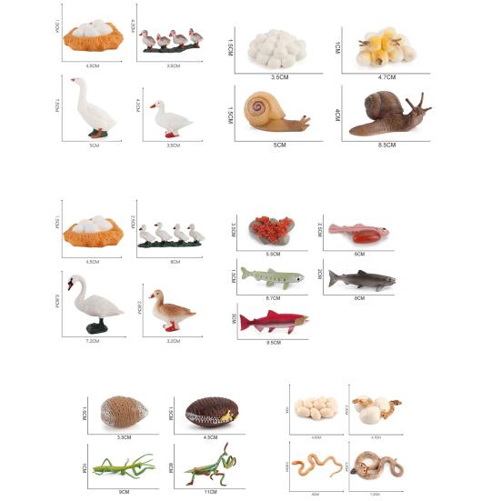 Model Toy Educational Design Early Simulation Plastic Animal Learning Growth Cycle Miniature