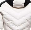 Dainese Snow Куртка Virtus Dermizax Ev™