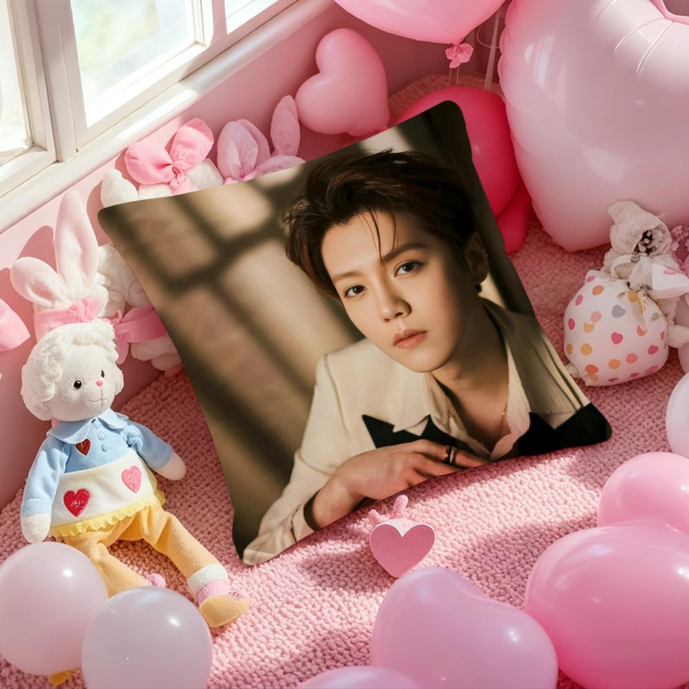 

Top Star L-Lu H-Han Pillow Case Soft Plush Fabric Double-Sided Printed Cushion Cover Warm Winter Sofa Pillow Case 30cmx30cm