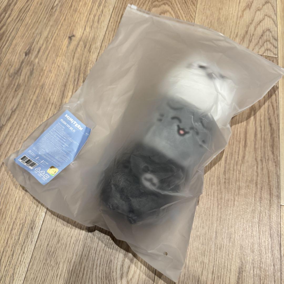 

[USED] Pop-up SEVENTEEN MINITEEN Plush Toy Jun