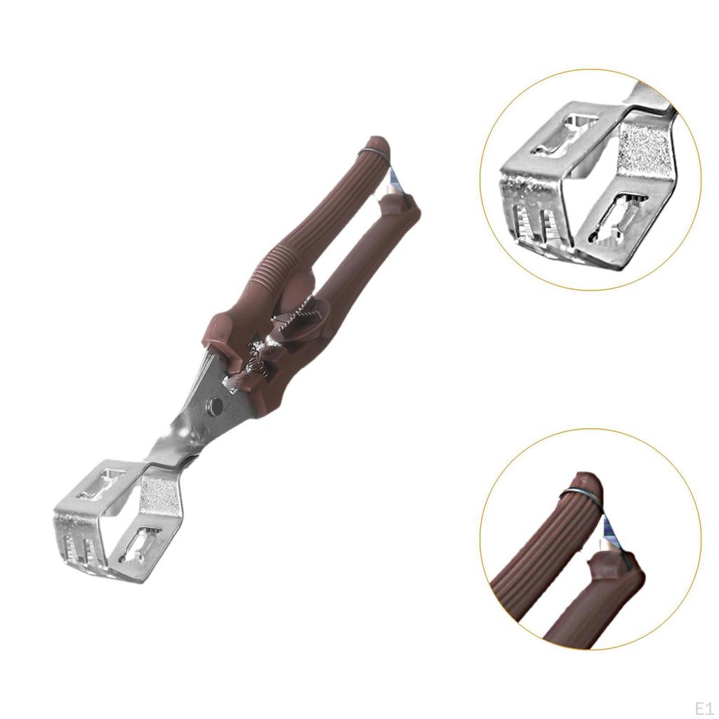 Chestnuts Opener Clip Manual Kitchen Utensils 20x4cm Ergonomic Handle Compact 2 in 1