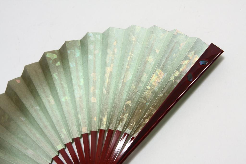Kyoto folding fan for congratulatory folding 6 15 paulownia box [Hasegawa] Tomesode, fan, inches, ribs, Tame-lacquered fan, shell-covered,