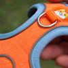Adjustable Dog Harness No Pull Cute Puppy Cat Soft Walking Leash Set Pet Dogs Harnesses Vest Chihuahua Beagle For Small Dogs
