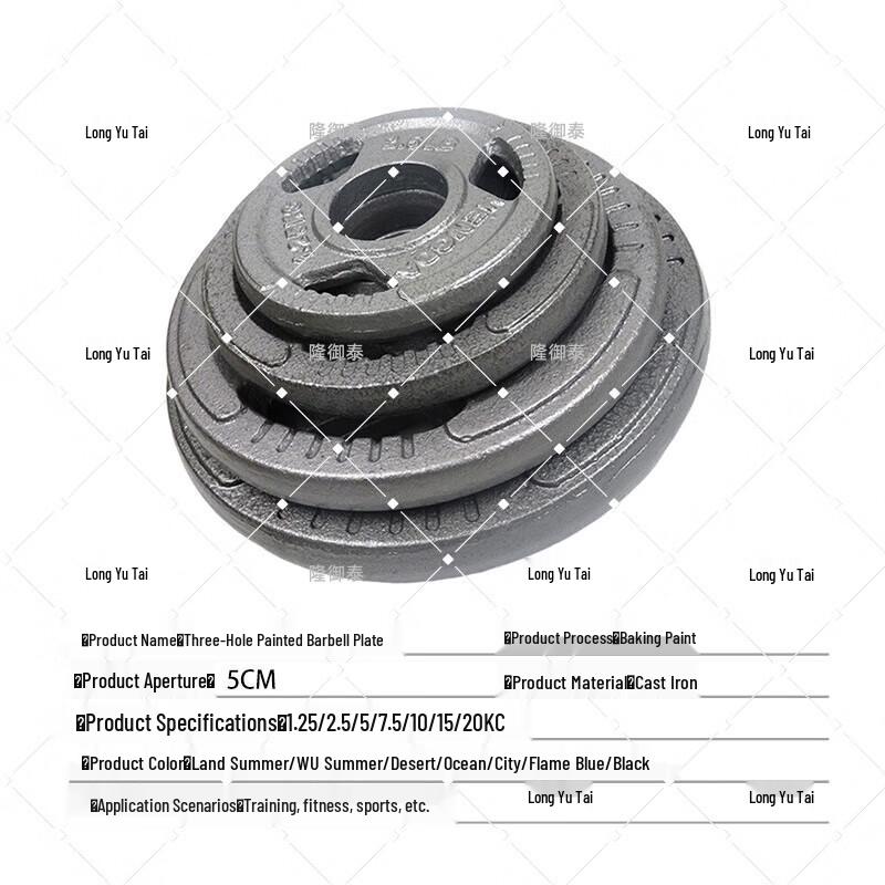 Longyutai 20kg Cast Iron Barbell Plate