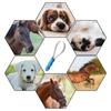 Pet Dog Sweat Scraper Shedding Blade Brush Hair Care Tool Horse Beauty Tool Cleaning Pet Products Cat Brush