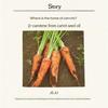 Skinfood Carrot Carotene Soothing Toner 300ml
