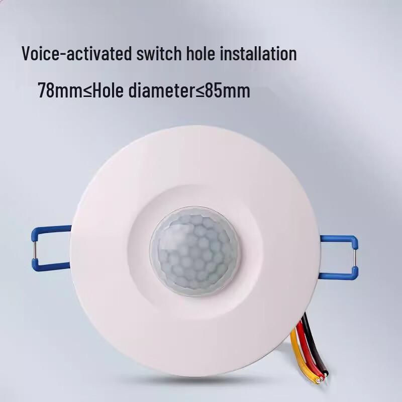 EGFB Embedded Sound and Light Control Switch