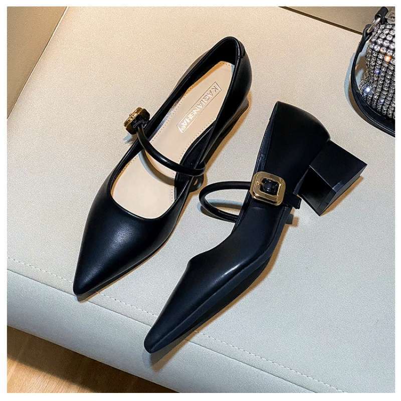 Xiaoxiangfeng Mary Jane thick-heeled single shoes women's 2025 new pointed French retro soft leather one-word with high heels