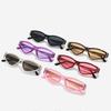  New Ins Popular Fashion Cat Eye Women Sunglasses Shades UV400 Retro Candy Color Men Sun Glasses