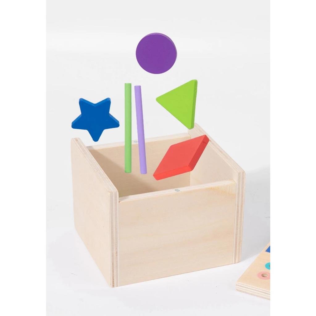 Kids Montessori Sorting Wooden Toys Permanent Box Color Shape Matching Games Fine Motor Training Parish Sensory Educational Toys
