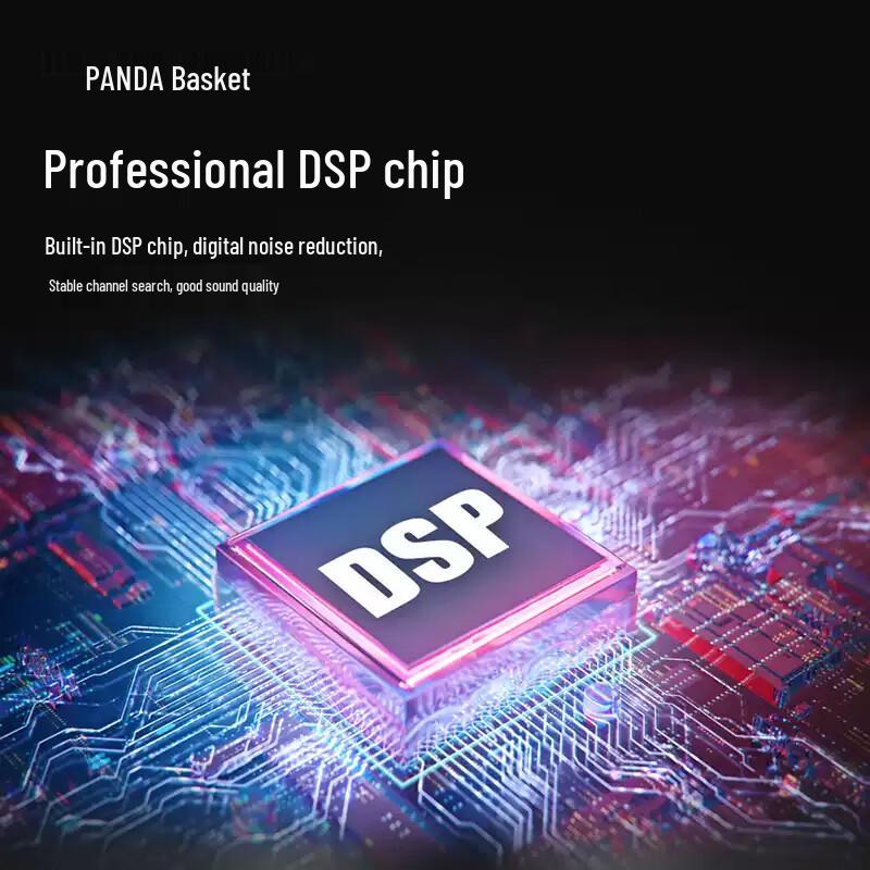 Panda 6107 Mini Tragbares Mehrband-Digitalradio