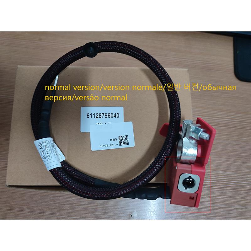 61128795489 Positive Battery Fuse Cable for BMW X7 AWD G07 Diesel Mild Hybrid or Normal Petrol SUV 2019-2022 12V 61128796040