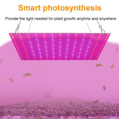 AC85-240V Panel Vollspektrum Phyto Lampe 2000W/3000W LED Grow Light für Indoor Grow Tent Pflanzen Wachstumslicht