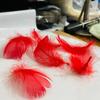 50Pcs Macaron Color Small Feather Small Goose Feather Wedding Festival Event Stage Decoration Gift Box Filling Material