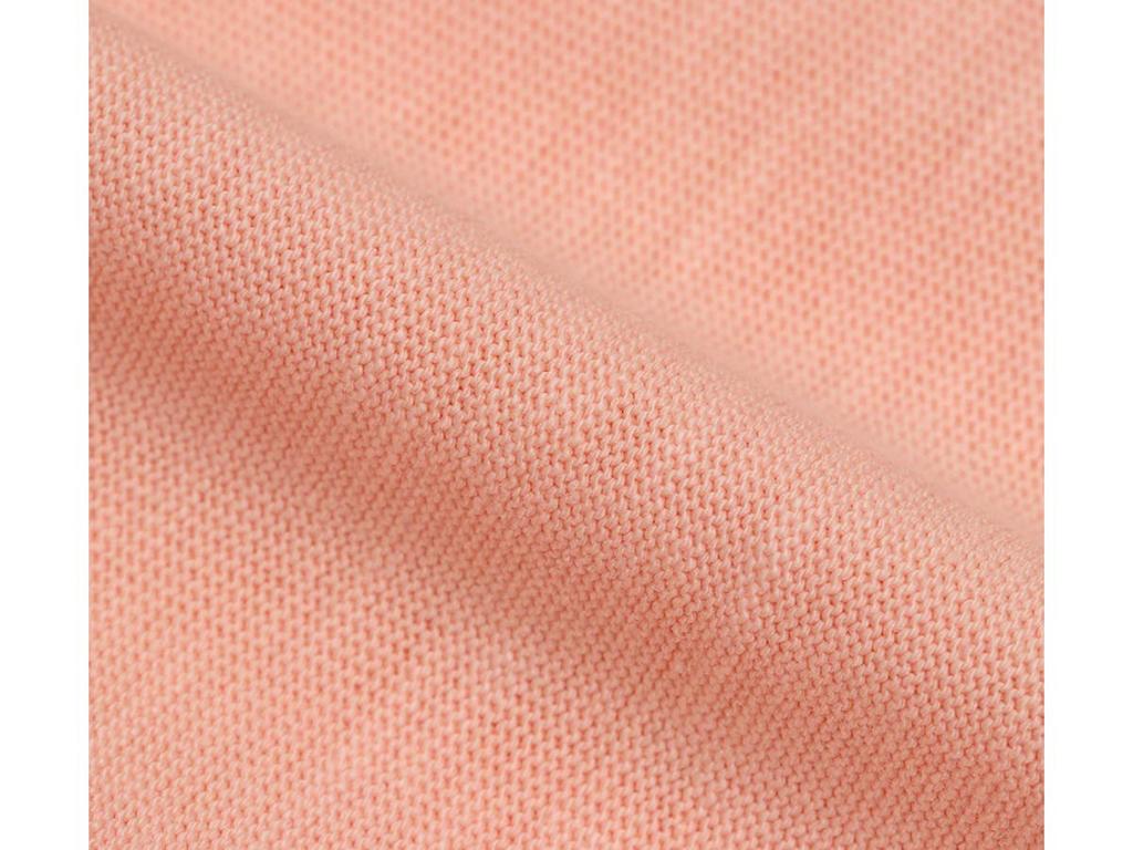 Reverse Weave Long Sleeve Salmon Pink Japan L To Japanese Size [Champion] T-Shirt C3-P407 Men's (equivalent L)