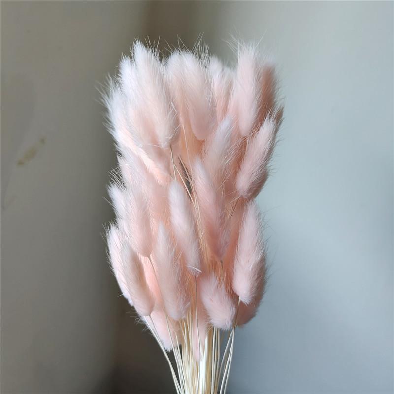 Yunnan Dried Flowers Bouquet - Rabbit Tail Grass