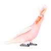 Simulated Bird Model Figure Children Static Bird Figurine Collection Educational Toy Birthday Gift