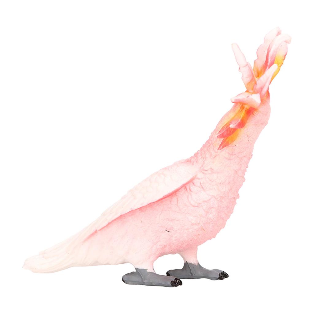 Simulated Bird Model Figure Children Static Bird Figurine Collection Educational Toy Birthday Gift