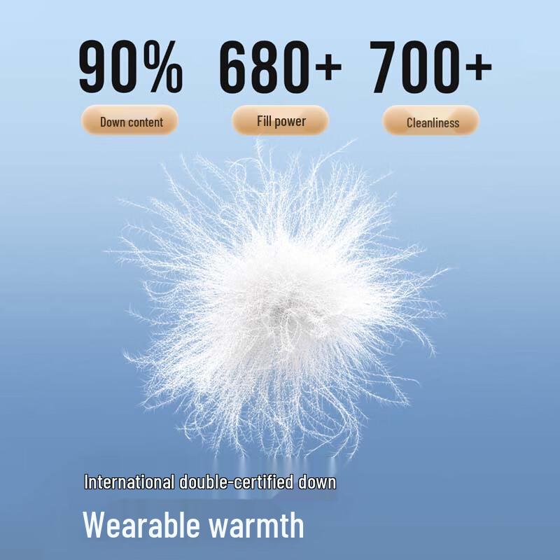 Bosideng B250135319 Lapel Down Jacket