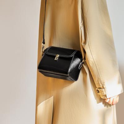 Autumn Winter New Fashion Small Square Bag 2025 Niche Design Stylish Crossbody Bag High-end Feel Women's Leather Bag