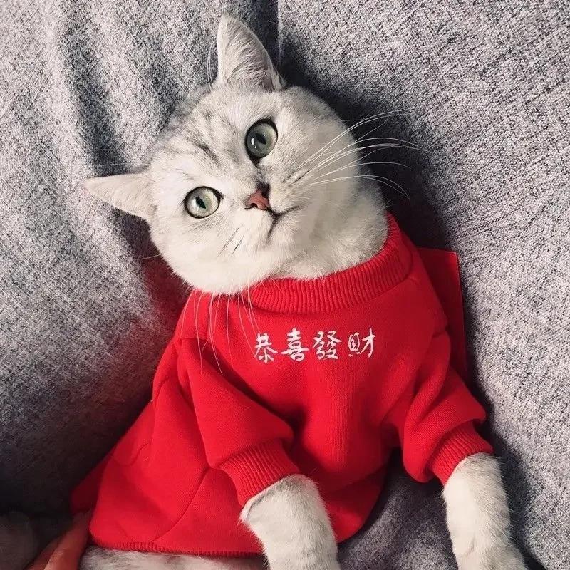 

Chinese New Year Dog Clothes Hoodie Winter Pet Coat Cat Puppy Schnauzer Golden Retriever Poodle Husky Dog Costume Gongxifacai 2XL(8.5-10kg)