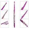 SLADE Rosey Flute 16 Closed Holes Flute C Key Flute with E Key Pro Woodwind Instruments Transverse Flute for Concert Performance