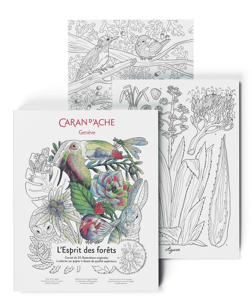 Karan Dash Coloriage Forest Coloring Book 0454-802