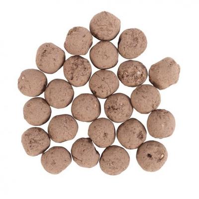 Plants Flower Seeds (Pack of 24)