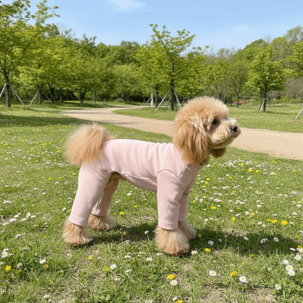 Warmer elastischer Haustier-Overall Winddichte Hundefleece-Pyjamahose Haustier-Vierbeiner-Hose Kleine mittlere Hunde