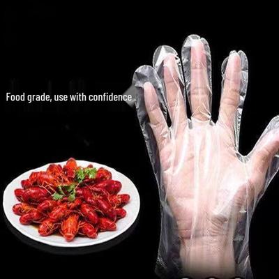 Thickened Disposable Plastic Gloves