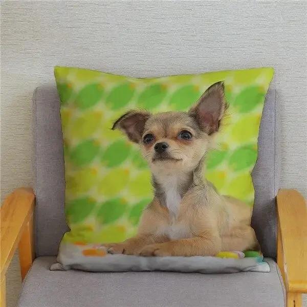 Cute Mini Chihuahua Dog Printed Cushion Cover Pillow Case Hugging Pillow Case Sofa Home Decor Pillow Case