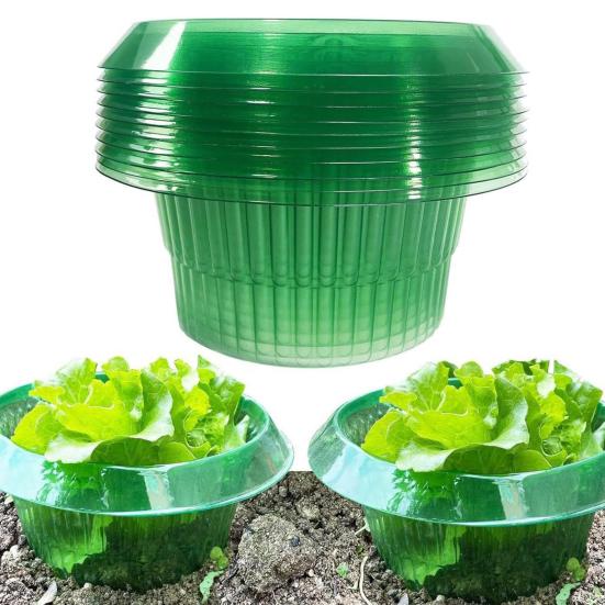Slug Collars for Plants Vegetable Protector Plants Collar To Protect Vegetables from Slugs Garden Slug Snail Barrier Collar