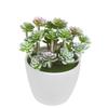 12pcs Simulation Green Plants Plastic Small Succulents Fake Flower DIY Garden Bonsai Artificial Succulent Plant Cafe Decoration
