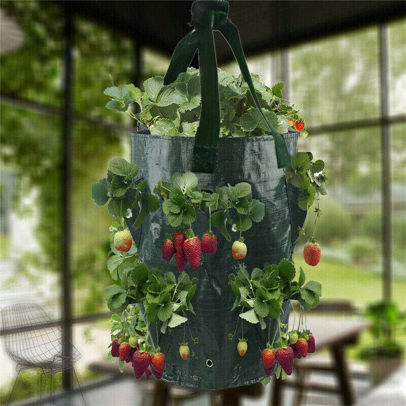 Fabric Hanging Planter Grow Bag Plant Pouch Tomato Strawberry Flower Herb U S Fabric Hanging Planter Grow Bag Plant Pouch Tomato Strawberry Flower Herb U S