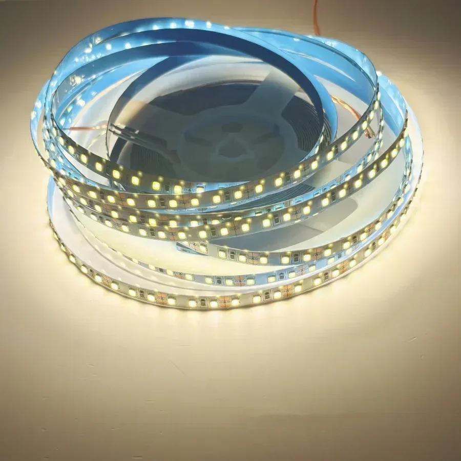 SMD2835 120LEDs/m LED Strip 5M 12V 24V 220V Home Lamp Strip Decor Colorful Flexible Lamp Bar for TV Background Home Decoration