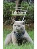 Reflective Vest-Style Cat Leash & Breathable Harness for Small/Medium Pets