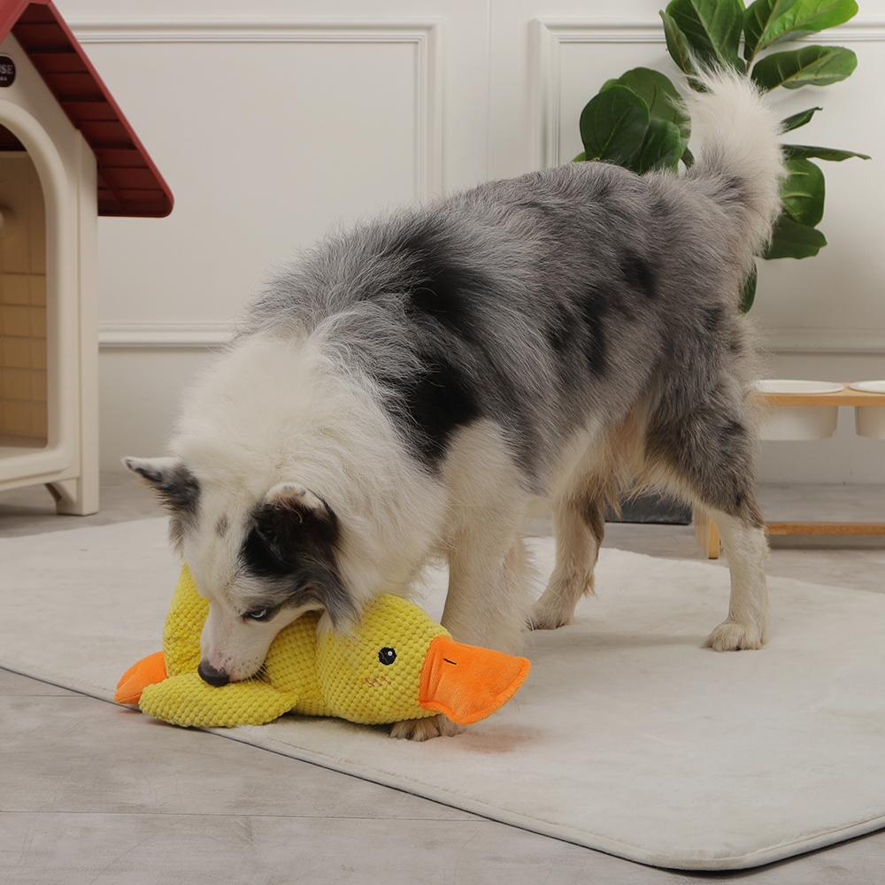 HOOPET Dog Sleeping Toy Duck Chew Sounding Toy Designed for Small Medium Large Dogs Outdoor Interactive Pet Training Toy Dog Accessories