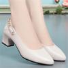 Fashion Women High Heels Thick Heels Wedding Shoes Women Pumps 2025 Fashion Rhinestone 6cm Ladies Office Party Dress Shoes