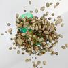 Gulf Orchid Pistachio Eau De Parfum 60ml