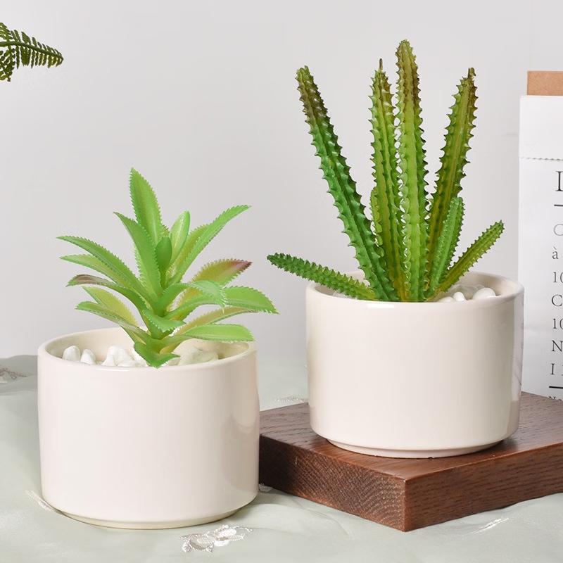 MOJY Minimalist Ceramic Succulent and Orchid Planter