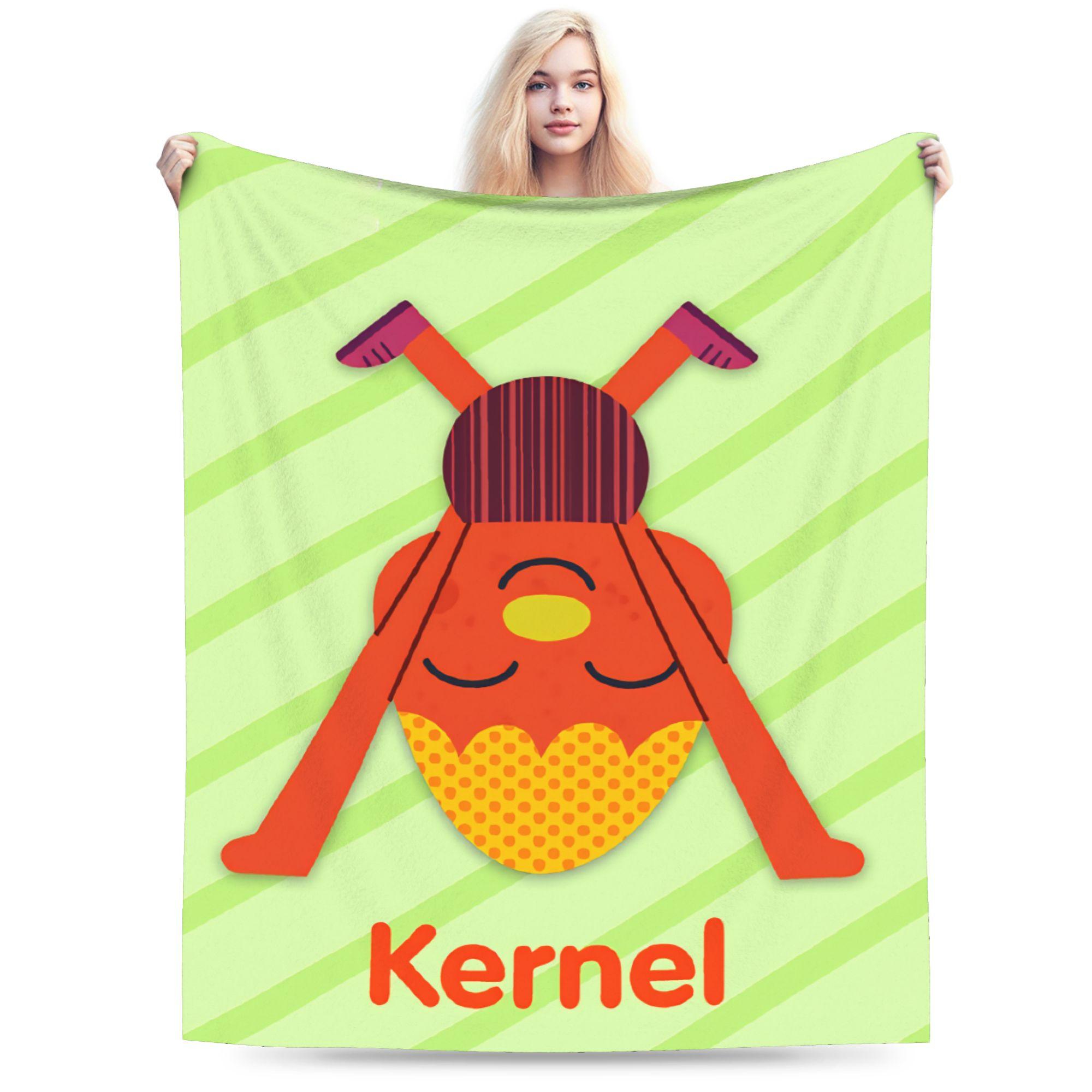 

Noodle & Pals Micro Blanket Quality Soft Super Simple Bedding Throws Autumn Kids Living Room Fluffy Bedspread 30x40in