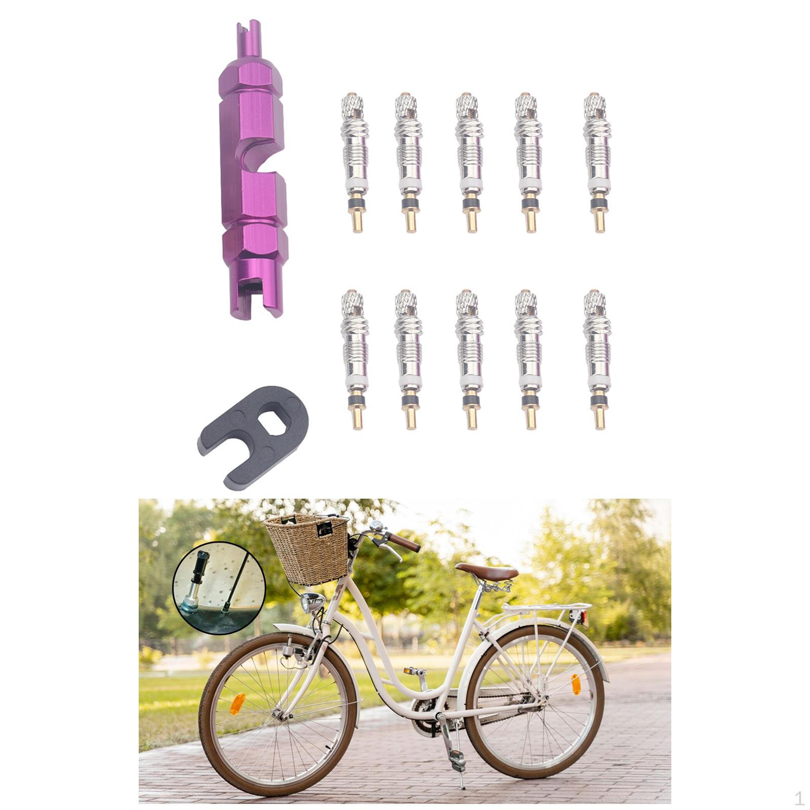 

Bicycle Valve Core Remover Tool Kit 10 Pieces Brass Cores, Professional Sturdy фіолетовий