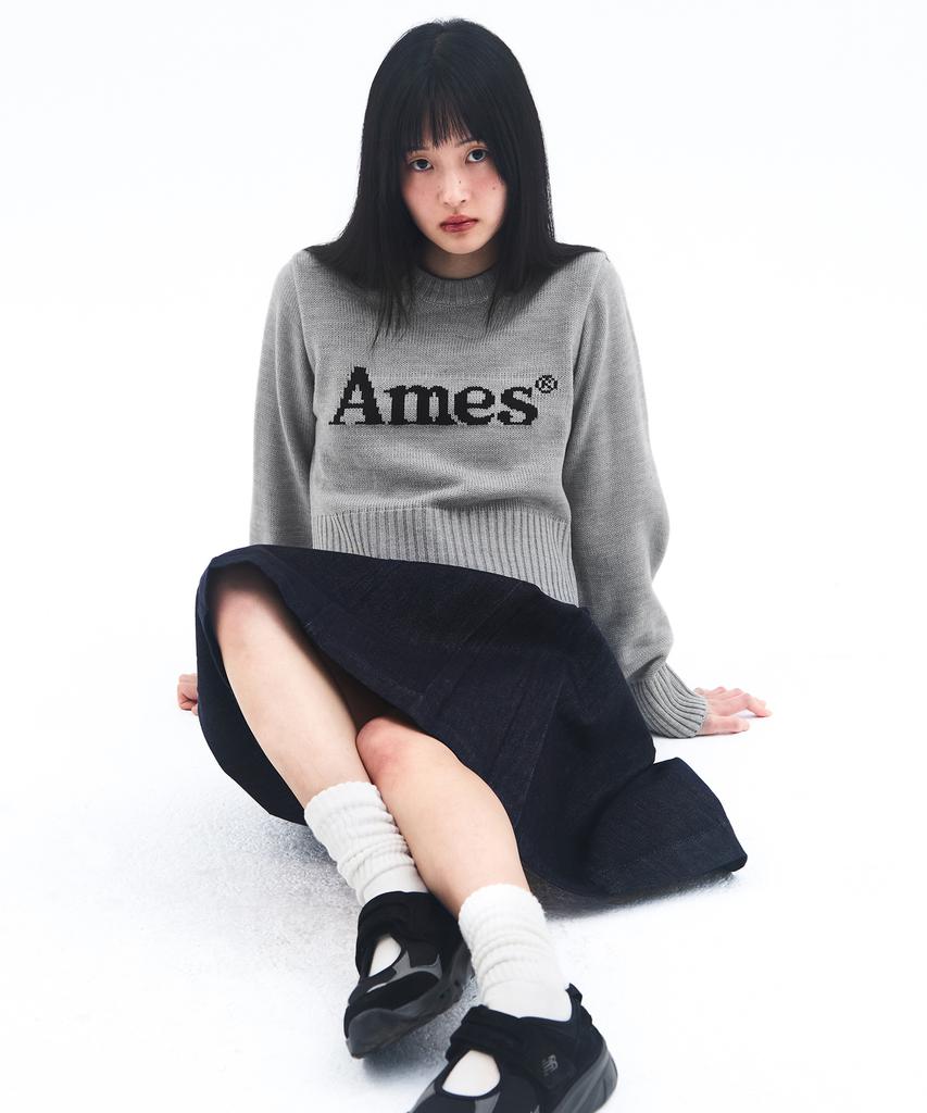 AMES-WORLDWIDE Basic Pullover Knit Gray