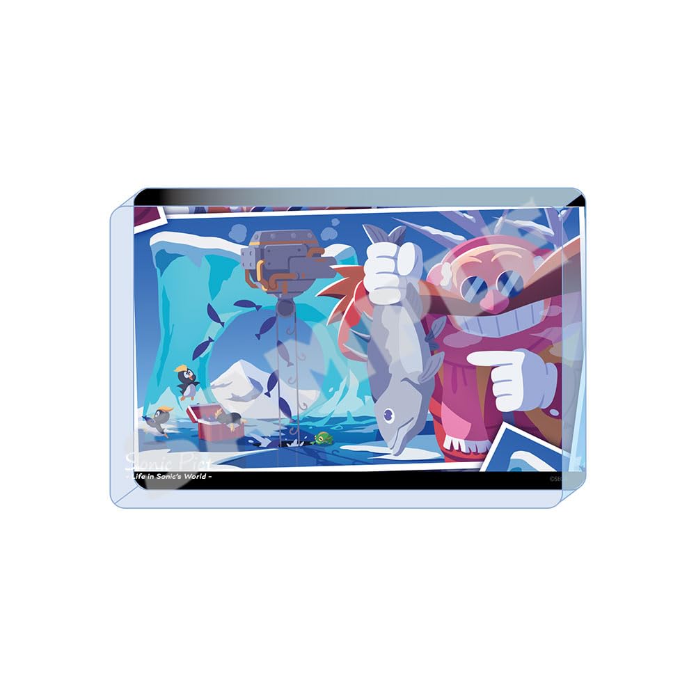 Sonic the Hedgehog" Acrylic Block (SONIC PICT) July 2023 "A Huge Catch from a Genius!?