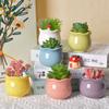 6Pcs Ceramic Succulent Flowerpots Home Garden Decoration Bonsai Flowerpot Cute Nursery Pots