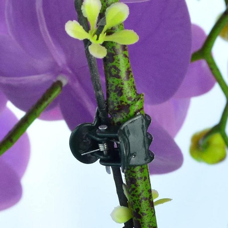 Garden Plant Orchid Clips 100Pcs Plant Clips Green Plant Orchid Support Clips Garden Orchid Clips For Supporting