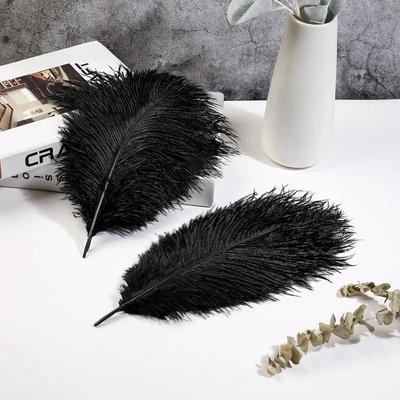 10 pz Piume di Struzzo Naturali all'Ingrosso 15-50 cm Piume per Artigianato per Feste Matrimoni Decorazioni per la Casa Centrotavola Decorazioni per Gioielli