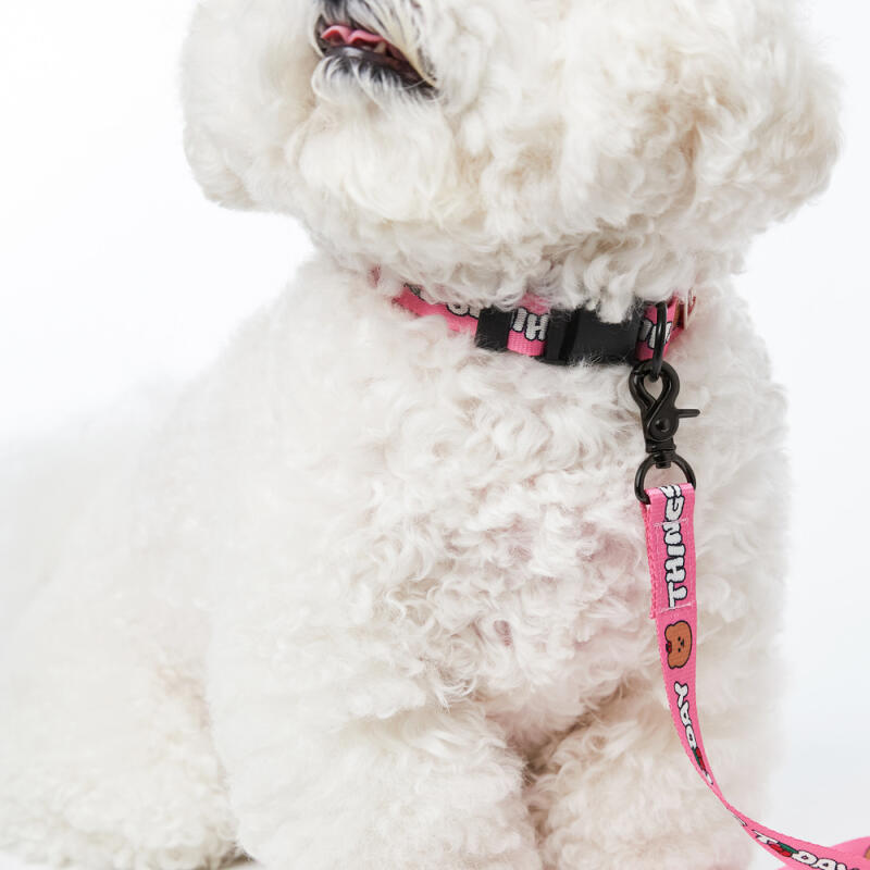 [Earp EarpXKINIKINI]CHERRY COVY COLLAR-PINK